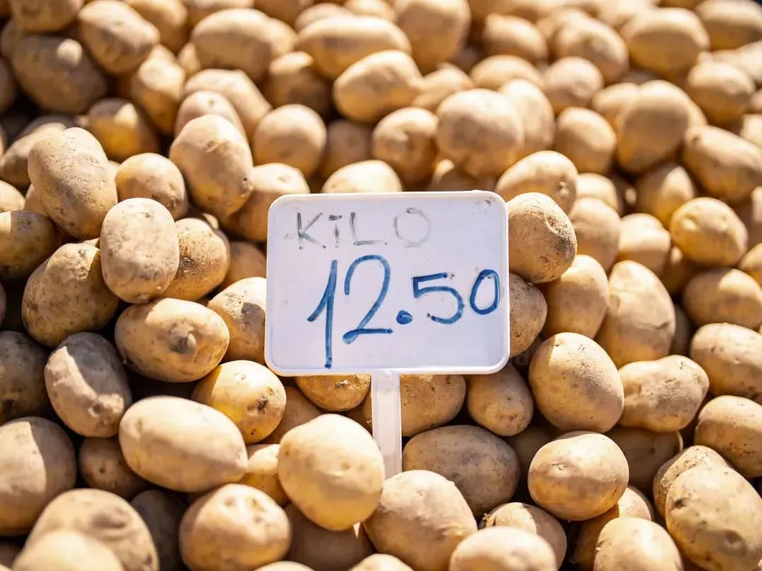 Seasonal Supply Planning for Retail and Foodservice Demand